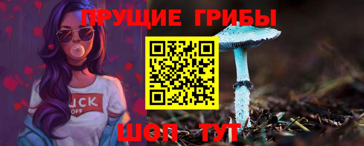 Псилоцибиновые грибы Cubensis Светлоград