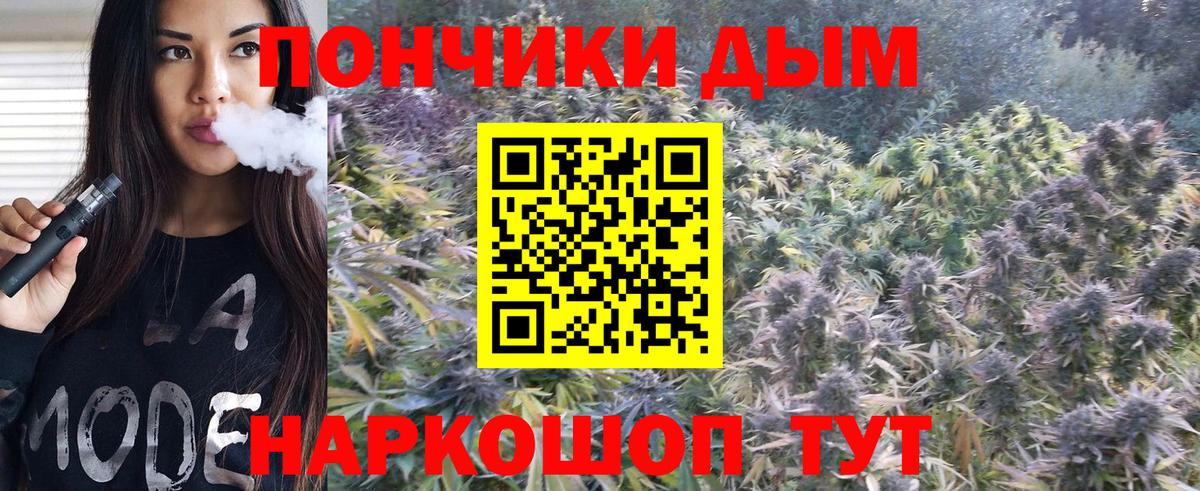 Бошки Шишки ГИДРОПОН Светлоград